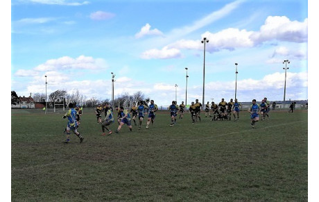 DUC-C.A.AIGLON
